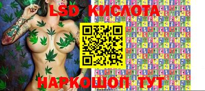 гашик Дубна