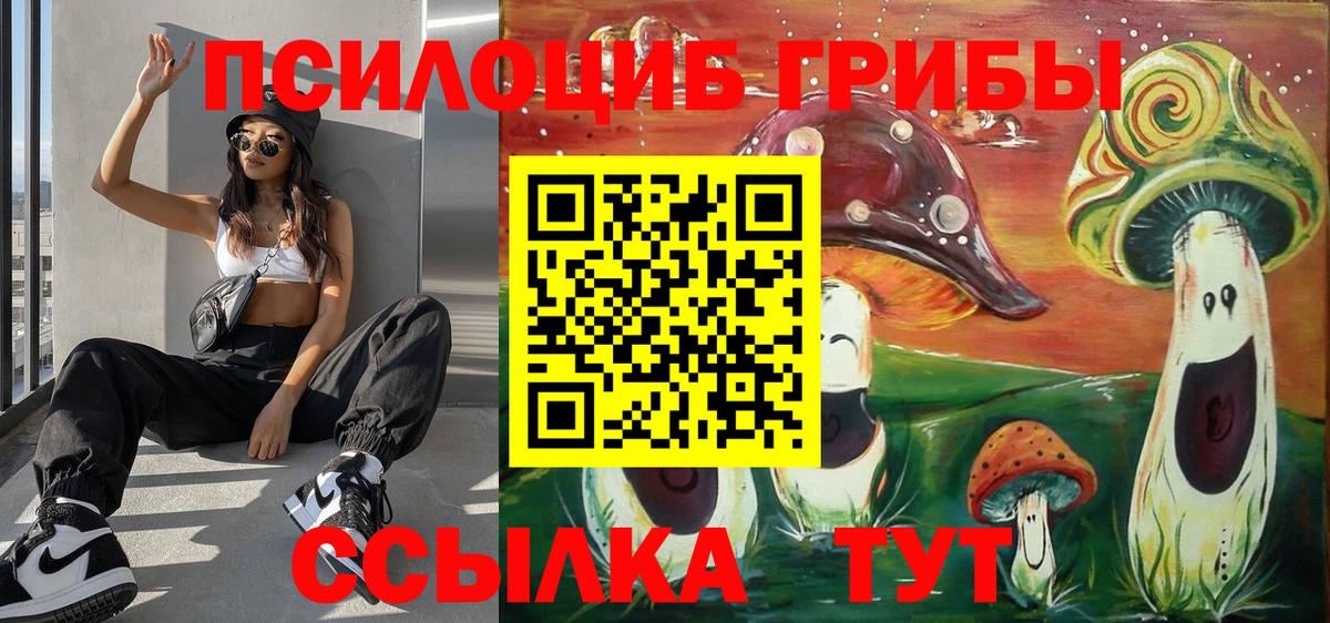 Псилоцибиновые грибы мицелий  Вход с VPN  Янаул 